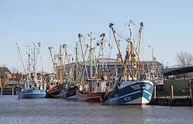 Fischereihafen Husum
