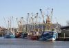 Fischereihafen Husum